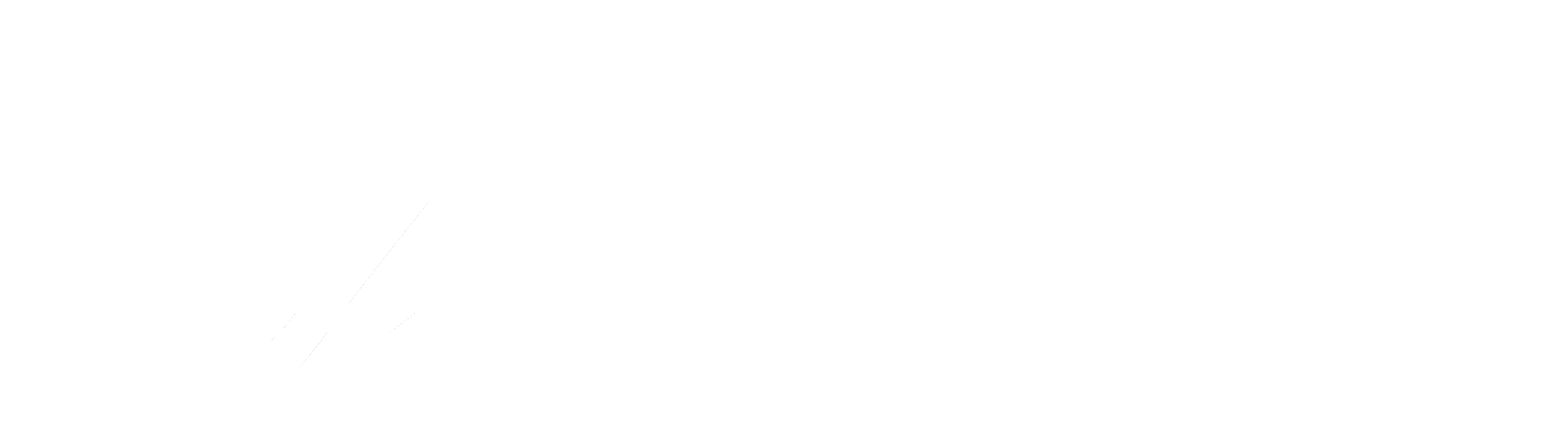 Logo_white_transparent